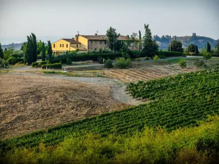Podere La Torre, Gite 4 personnes à Certaldo - Photo 30