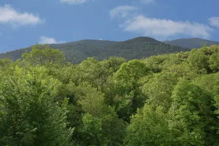 Casa Metternich, Villa dans les Pyrénées avec Vue Montagne - Photo 31