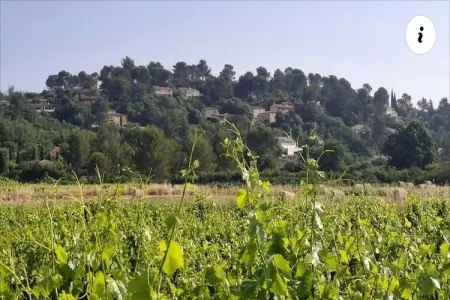 Les Lauriers-Roses, Villa à Garéoult avec piscine privée - Photo 12