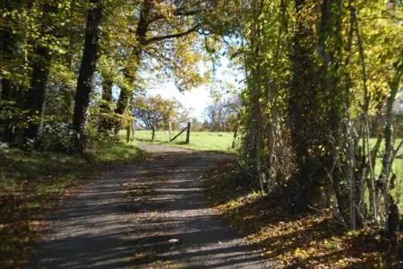 L'Ecole, Maison à Limousin proche Forêt - Photo 25