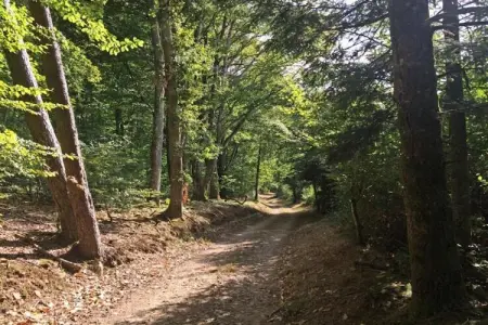 L'Ecole, Maison à Limousin proche Forêt - Photo 28