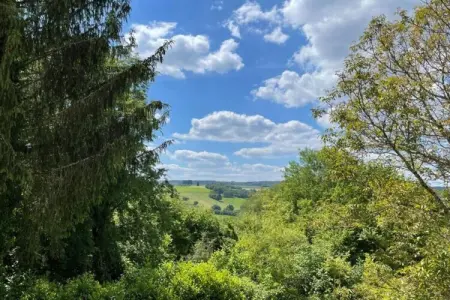 L'Ecole, Maison à Limousin proche Forêt - Photo 30