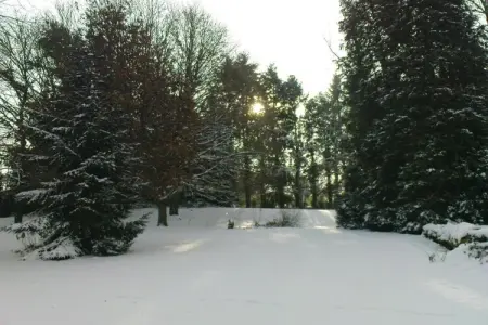 L'Ecole, Maison à Limousin proche Forêt - Photo 37