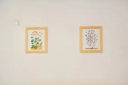 Timo, Appartement à Anghiari avec jardin - Photo 33
