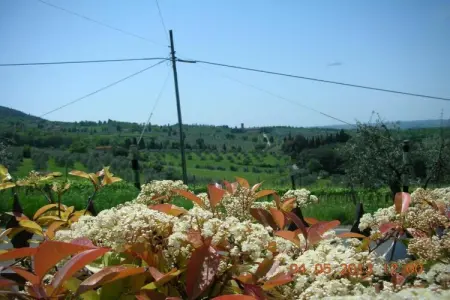 Erica, Retraite tranquille à Anghiari - Photo 37