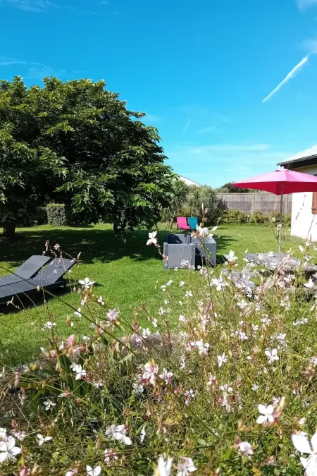 Les Cordylines, Maison 6 personnes à Anneville sur Mer - Photo 8