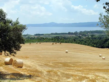 Il Podere del Lago (BOL253), Appartement 4 personnes à Lago di Bolsena - Photo 28