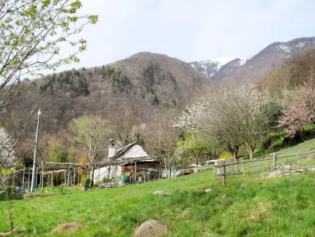 Baita Anita, Maison 4 personnes à Domodossola - Photo 21