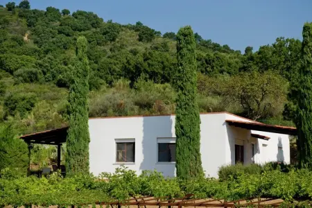 Casa Gialla, Escapade romantique avec terrasse - Photo 8