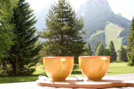 Pozza di Fassa Quattro, Chalet spacieux avec jardin près des pistes dans le Tyrol - Photo 20