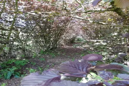 Nuvola, Villa dans les Ardennes flamandes avec piscine - Photo 27