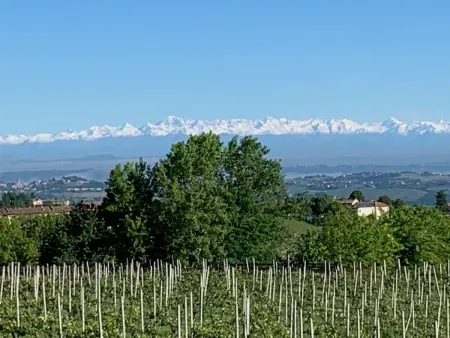 Cascina Castello, Maison 4 personnes à Costigliole d'Asti - Photo 24