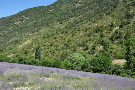 Maison Fayence, Maison à Fayence avec Vue sur le Château - Photo 26