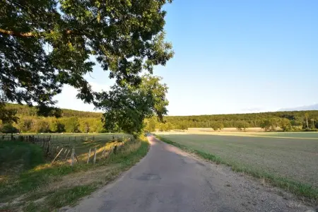 Le Commandant, Villa avec Spa et Piscine - Photo 33