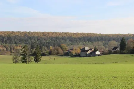 Le Commandant, Villa avec Spa et Piscine - Photo 34