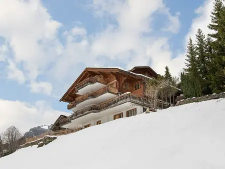 Chalet Tuffstein, Appartement 5 personnes à Grindelwald - Photo 26