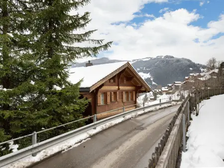 Chalet Tuffstein, Appartement 5 personnes à Grindelwald - Photo 28