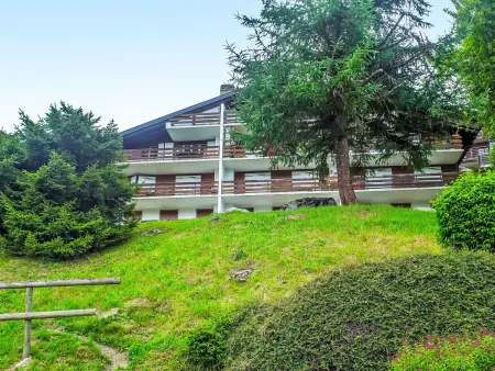 Butte aux Noëls 206, Appartement 4 personnes à Verbier - Photo 13