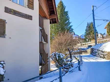 Schoneggacher Apt. S, Appartement 4 personnes à Wengen - Photo 1