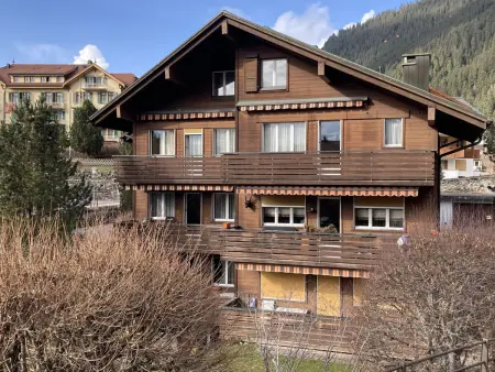Schoneggacher Apt. S, Appartement 4 personnes à Wengen - Photo 5