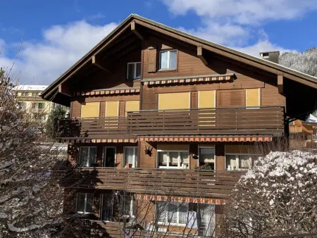 Schoneggacher Apt. S, Appartement 4 personnes à Wengen - Photo 17