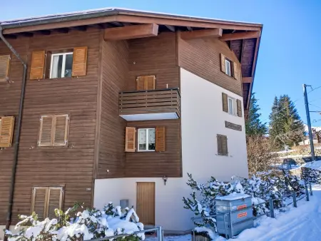 Schoneggacher Apt. S, Appartement 4 personnes à Wengen - Photo 18