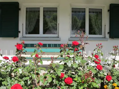 Helene, Appartement 4 personnes à Adelboden - Photo 3