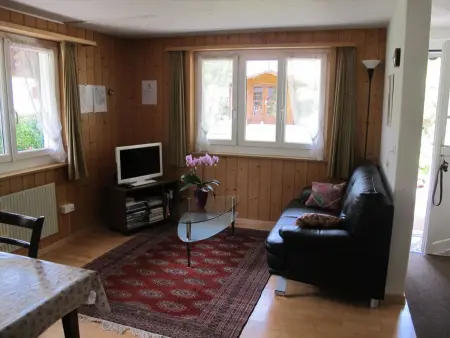 Helene, Appartement 4 personnes à Adelboden - Photo 4