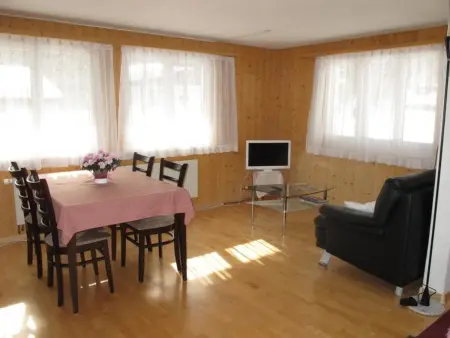 Helene, Appartement 4 personnes à Adelboden - Photo 16