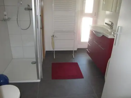 Helene, Appartement 4 personnes à Adelboden - Photo 22
