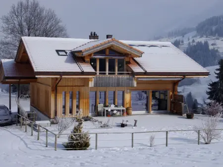 Anno Domini, Appartement 4 personnes à Adelboden - Photo 1