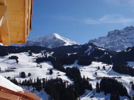 Anno Domini, Appartement 4 personnes à Adelboden - Photo 3