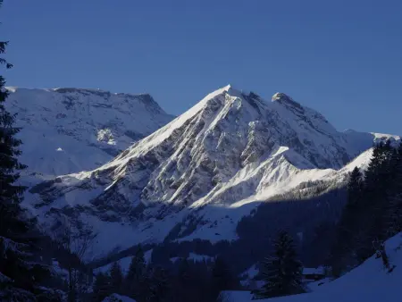 Anno Domini, Appartement 4 personnes à Adelboden - Photo 4