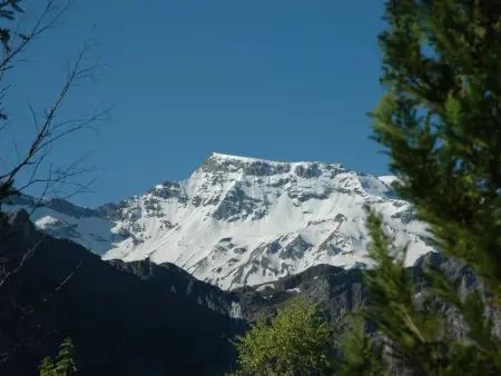 Bärgchutzli Parterre, Appartement 2 personnes à Adelboden - Photo 1