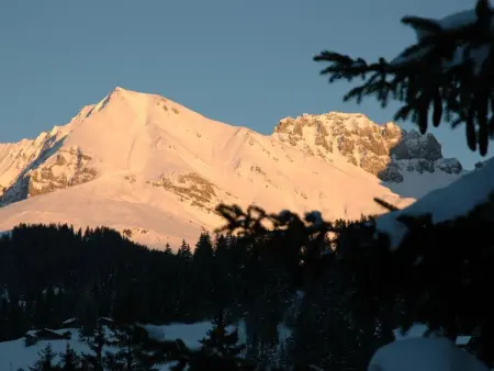 Bärgchutzli Parterre, Appartement 2 personnes à Adelboden - Photo 2