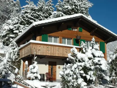 Bärgchutzli Parterre, Appartement 2 personnes à Adelboden - Photo 11