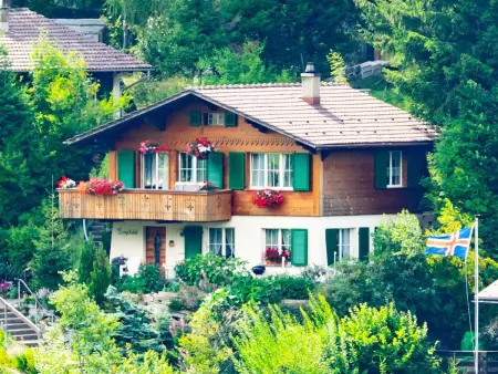 Bärgchutzli Parterre, Appartement 2 personnes à Adelboden - Photo 12