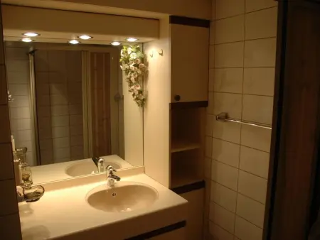 Bärgchutzli Parterre, Appartement 2 personnes à Adelboden - Photo 19