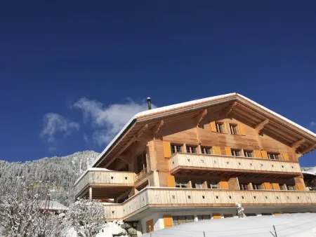 Butterfly, Appartement 4 personnes à Adelboden - Photo 1