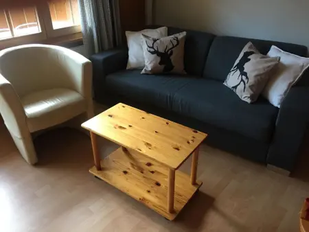 Butterfly, Appartement 4 personnes à Adelboden - Photo 4