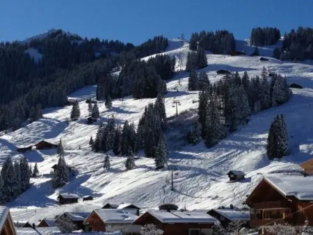 Butterfly, Appartement 4 personnes à Adelboden - Photo 12