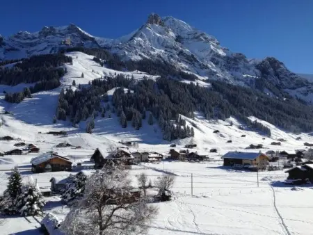 Butterfly, Appartement 4 personnes à Adelboden - Photo 13