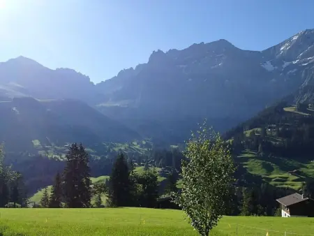 Frohmatt, Appartement 5 personnes à Adelboden - Photo 6