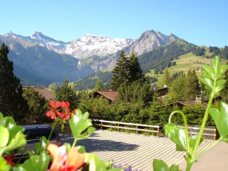 Sunnegruess, Appartement 4 personnes à Adelboden - Photo 2