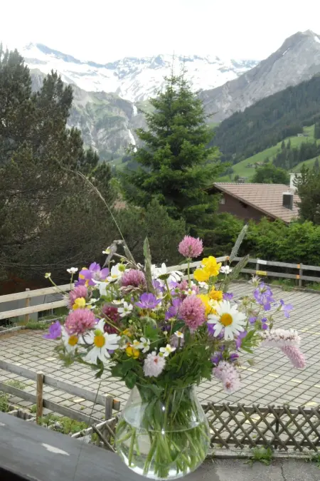 Sunnegruess, Appartement 4 personnes à Adelboden - Photo 9