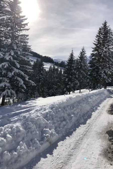 Sunnegruess, Appartement 4 personnes à Adelboden - Photo 24