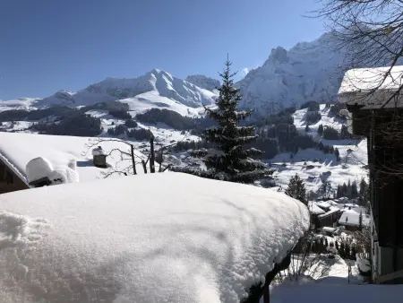 Sunnegruess, Appartement 4 personnes à Adelboden - Photo 25
