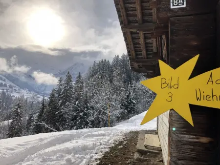 Sunnegruess, Appartement 4 personnes à Adelboden - Photo 28
