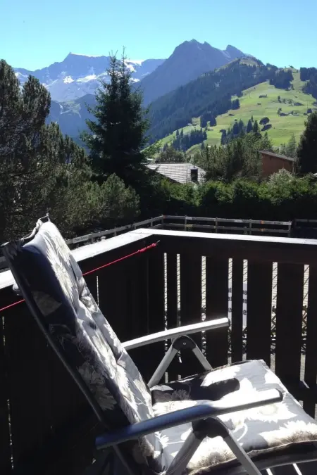 Sunnegruess, Appartement 4 personnes à Adelboden - Photo 52