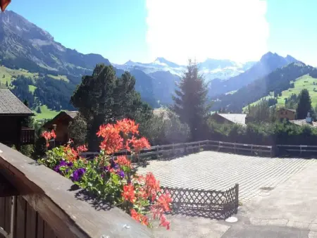 Sunnegruess, Appartement 4 personnes à Adelboden - Photo 53